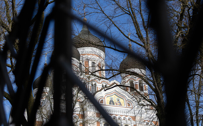 Domes of the Alexander Nevsky Cathedral seen through bare branches